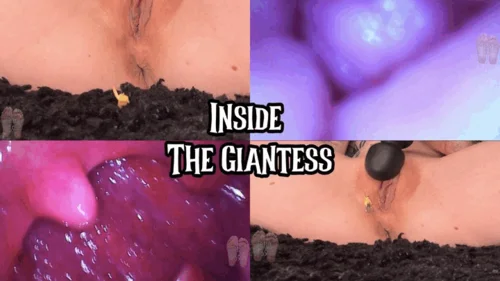 Tetra69 - Inside The Giantess