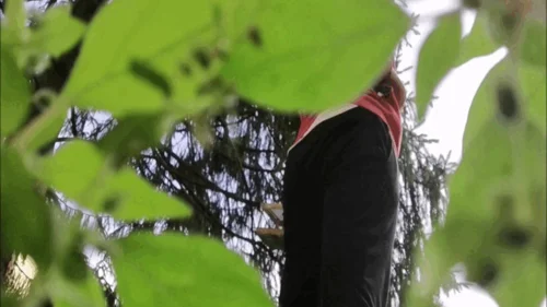 Nicoletta Embassi - Lost in the Garden's Arteries 4K
