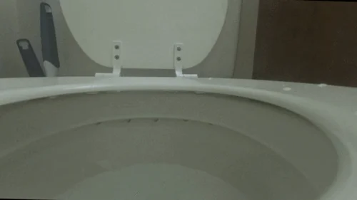 Mxdominionakacrushgoddess Clips - Tiny Human Fred Swimming in Evil Giantess Toilet POV 4K