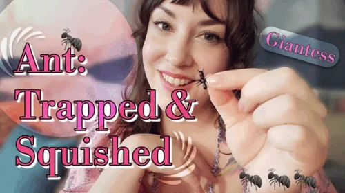 The Wasp Clip Store - Ant: Trapped and Squished