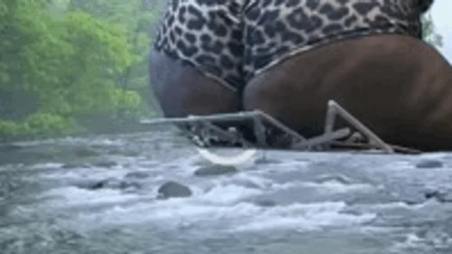Mxdominionakacrushgoddess Clips - Giantess Special effects - Giantess MXDominion uses Enormous ass to Destroy Bridge, crush, giantess, assfetish 4k