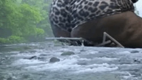 Mxdominionakacrushgoddess Clips - Giantess Special effects - Giantess MXDominion uses Enormous ass to Destroy Bridge, crush, giantess, assfetish 1080