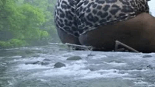Mxdominionakacrushgoddess Clips - Giantess Special effects - Giantess MXDominion uses Enormous ass to Destroy Bridge, crush, giantess, assfetish 4K smaller