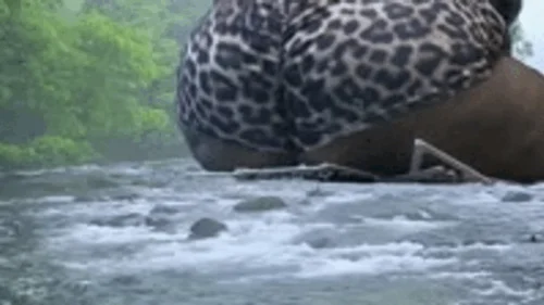 Mxdominionakacrushgoddess Clips - Giantess Special effects - Giantess MXDominion uses Enormous ass to Destroy Bridge, crush, giantess, assfetish 1080 smaller