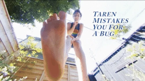 Canadian And Asian Giantess Fantasy - Taren Mistakes You For A Bug EXTREME POV - HD 720p Version
