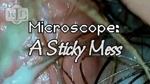 Ladykassandra - Microscope: A Sticky Mess