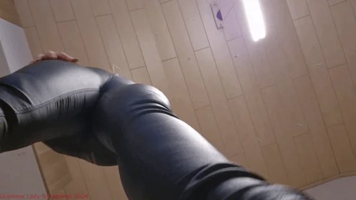 Giantess Lady Seraphina - Crushsession