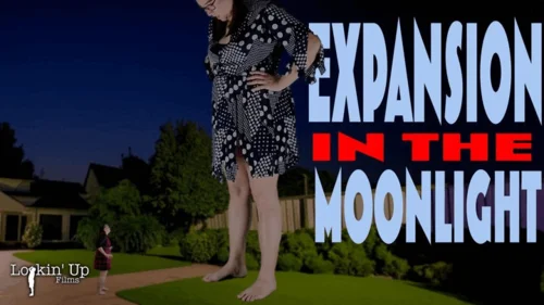 Wreckin Becca - Expansion in the Moonlight