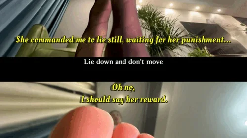Ming Visual World - The Miniaturized Admirer(POV)