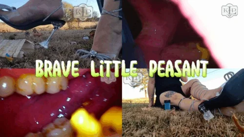 Ladykassandra - Brave Little Peasant