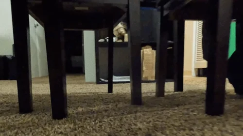 Mxdominionakacrushgoddess Clips - shrinking fetish - Tiny Human Heart Races at it Runs around on Giantess Floor POV 1080, femdom, mind fuck, giantess