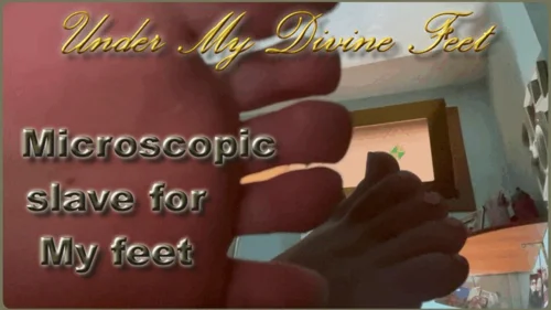 Under My Divine Feet - Microscopic slave for My feet