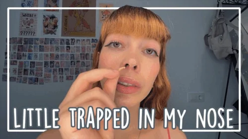 Kittystepsis - LITTLE MAN TRAPPED IN MY NOSE