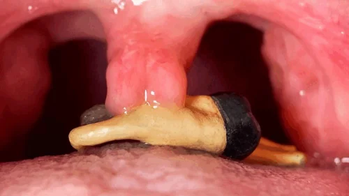 Shye White - Tiny victim of My Desires (REALISTIC custom figurine)
