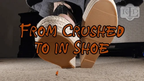 Ladykassandra - From Crushed to In-shoe