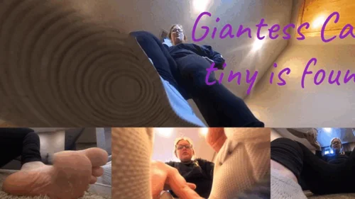 Giantess Cali Productions - Giantess cali's tiny is found