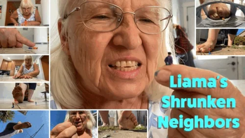 Canadian And Asian Giantess Fantasy - Grandma Liamas Shrunken Neighbors - HD 1080p Version