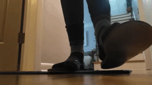 Penny's Place - Giantess and cat stomping around the house