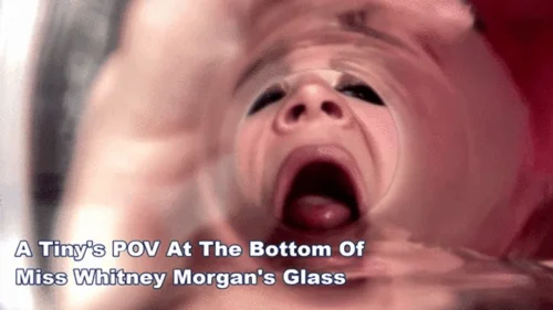Miss Whitney Morgans Clips - A Tiny At The Bottom Of Miss Whitney Morgan's Glass - mp4