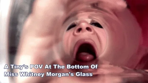 Miss Whitney Morgans Clips - A Tiny At The Bottom Of Miss Whitney Morgan's Glass - wmv