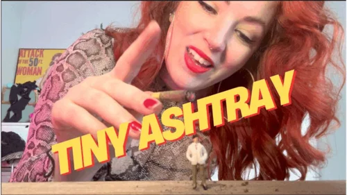 Goddesseviefade - Tiny Ashtray