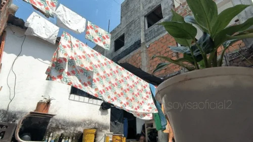 Soyisaoficialx - tiny spy in the backyard