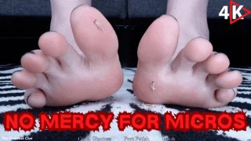 The Goddess Clue Clip Store - No Mercy For Micros - 4K - The Goddess Clue, Cruel Giantess Disgusted With Useless Micro People, Evil Crushing With Beautiful Yet Calloused Feet And Toes, Black Pedicure, Rough Feet, Stomping And Destroying