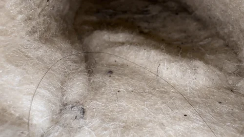 Hothungarianshoes - POV: Trapped Inside Her Worn Bearpaw Boots While She Walks!