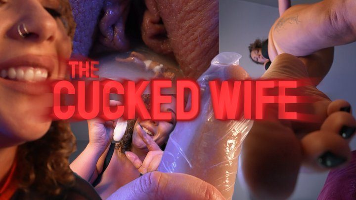 Sashacurves - The Cuck Wife
